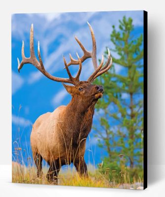 Bull Elk Paint By Number