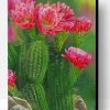 Cactus And Flowers Paint By Number