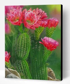 Cactus And Flowers Paint By Number