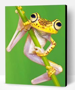 Chachi Tree Frog Paint By Number