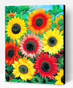 Colorful Sunflowers Paint By Number