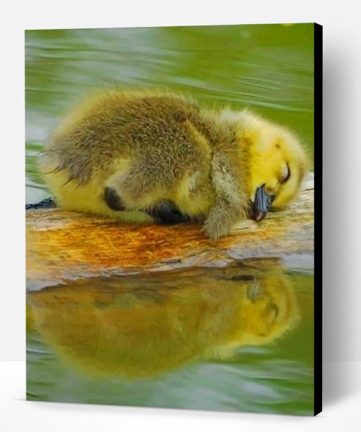 Cute Baby Duck Sleeping Paint By Number