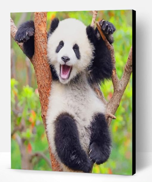 Cute Panda Paint By Number