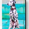 Dalmatian Dog Paint By Number