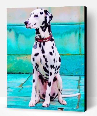 Dalmatian Dog Paint By Number