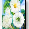 Georgia Okeeffe White Flowers Paint By Number