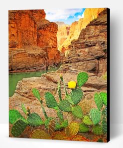 Grand Canyon National Park Cactus Paint By Number