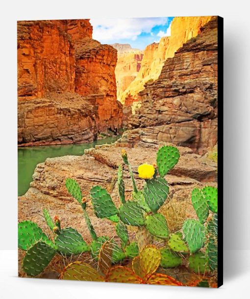 Grand Canyon National Park Cactus Paint By Number