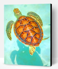 Hawksbill Sea Turtle Paint By Number