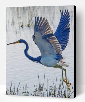 Heron Flying Paint By Number