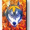 Husky In The Fall Paint By Number