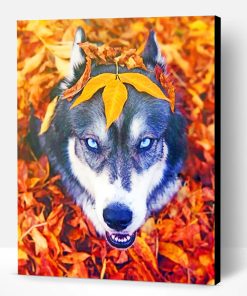 Husky In The Fall Paint By Number