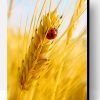 Ladybug On A Grain of Wheat Paint By Number