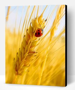 Ladybug On A Grain of Wheat Paint By Number