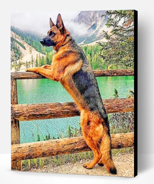 Majestic German Shepherd Paint By Number