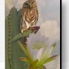 Owl And Cactus Paint By Number