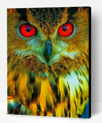 Owl With Red Eyes Paint By Number