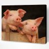 Adorable Pigs Paint By Number