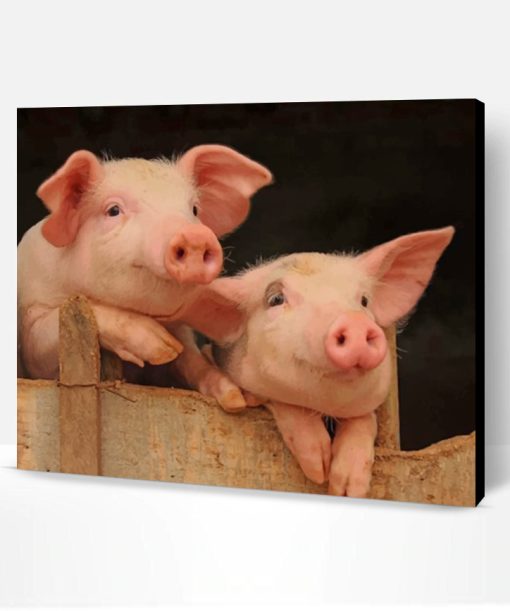 Adorable Pigs Paint By Number