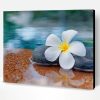 Plumeria Flower In Water Paint By Number