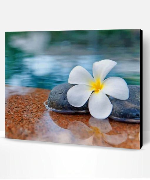 Plumeria Flower In Water Paint By Number