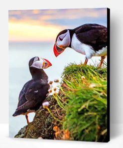 Puffins Birds Paint By Number