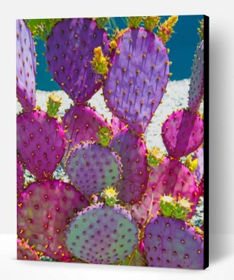 Purple Cactus Paint By Number