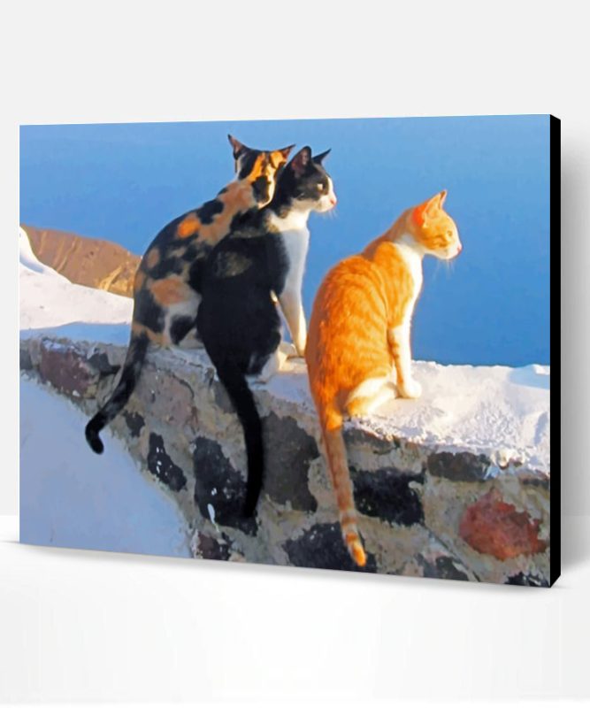Santorini Cats Paint By Number