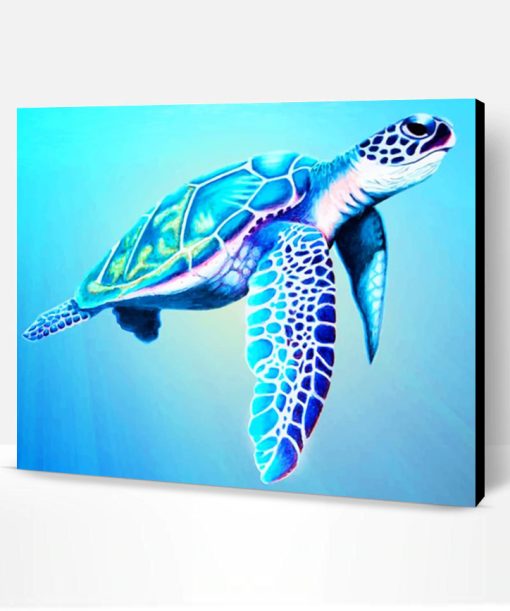 Sea Turtle Paint By Number