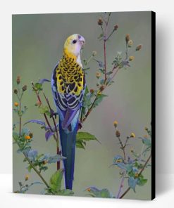 Small Parrot Paint By Number