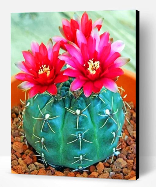 Succulent Cactus Paint By Number