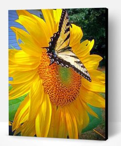 Sunflower And Butterfly Paint By Number
