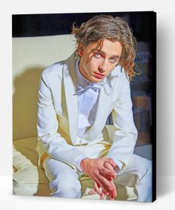 Timothee Chalamet Wearing A White Suit Paint By Number