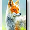 White And Orange Fox Paint By Number
