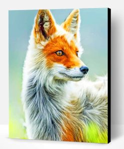 White And Orange Fox Paint By Number