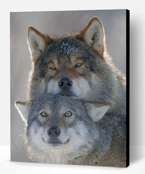 Wolves Couple Paint By Number