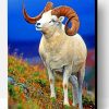 Bighorn Sheep Paint By Number