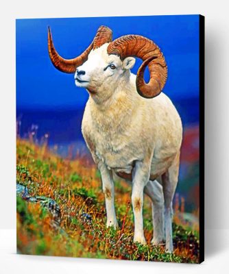 Bighorn Sheep Paint By Number