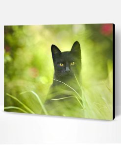 Black Cat With Green Eyes Paint By Number