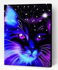 Cat in Night Sky Paint By Number