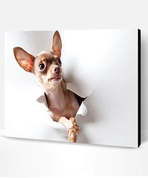 Chihuahua Dog Paint By Number