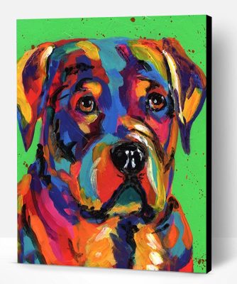 Colorful Dog Boxer Paint By Number