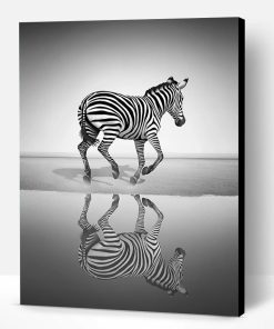 Free Zebra Paint By Number