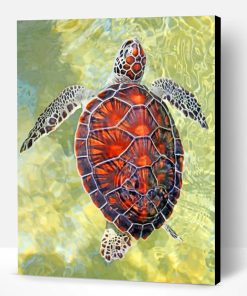 Ocean Turtle Paint By Number