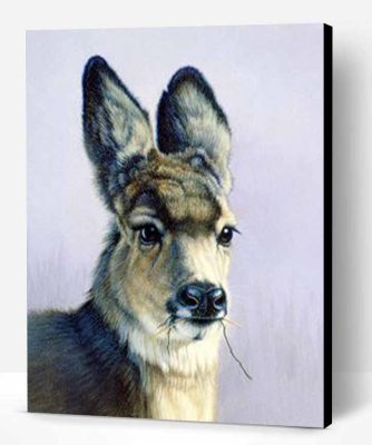 Mule Deer Paint By Number