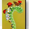 Seven Spot Ladybirds Paint By Number