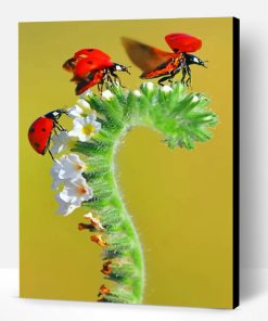 Seven Spot Ladybirds Paint By Number