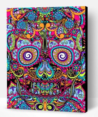 Colorful Skull Paint By Number