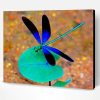 Black And Blue Dragonfly Paint By Number