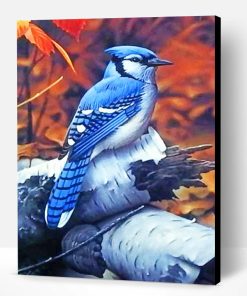 Blue Jay Paint By Number